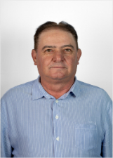 Retrato de DIVA FREITINHA