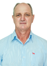 Retrato de DARCI TONIN