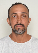 Retrato de BOI DA VILA RURAL