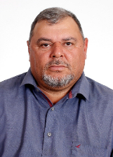 Retrato de ANDORINHA