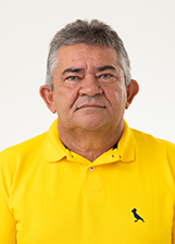 Retrato de NELSON MENESES