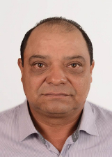 Retrato de BRASIL