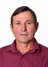 Retrato de RENATO WILDNER