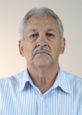 Retrato de SABIÁ