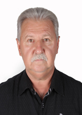 Retrato de LUIZ SERINGUEIRA