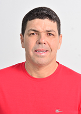 Retrato de TATU DO PIT-DOG